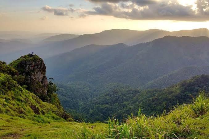 The Heritage Home Kasauli I Pine View Serviced Villa I Best Seller I Vacations I Family Events I Sky Bonfire I Kasauli By Exotic Stays Kültér fotó