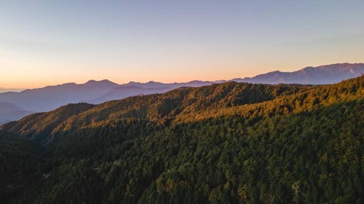 The Heritage Home Kasauli I Pine View Serviced Villa I Best Seller I Vacations I Family Events I Sky Bonfire I Kasauli By Exotic Stays Kültér fotó