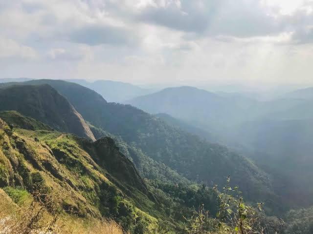 The Heritage Home Kasauli I Pine View Serviced Villa I Best Seller I Vacations I Family Events I Sky Bonfire I Kasauli By Exotic Stays Kültér fotó